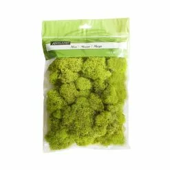 Flash Sale 👏 12 Pack: Reindeer Moss by Ashland® ✨
