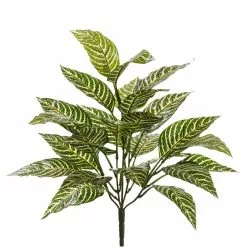 Best Pirce 😉 8 Pack: Green Zebra Bush by Ashland® ❤️