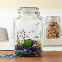 Cheapest ⭐ 12 Pack: Hermes Jar by Ashland™ 🔔 5 Cheapest ⭐ 12 Pack: Hermes Jar by Ashland™ 🔔 -Ashland Sale Store MP153678 20