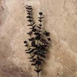 Promo 👍 12 Pack: Black Eucalyptus Spray by Ashland® ✨ -Ashland Sale Store MP158724 22