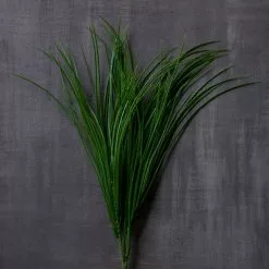 Buy ⭐ 8 Pack: Assorted Grass Bush by Ashland® ⭐ -Ashland Sale Store MP189538 25