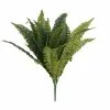 Buy ⌛ 12 Pack: Boston Fern Bush by Ashland® 🛒 -Ashland Sale Store MP194922