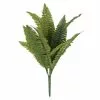 Best Sale 🎉 12 Pack: Green Boston Fern Bush by Ashland® 🥰 -Ashland Sale Store MP194924 1