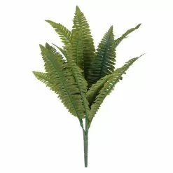 Best Sale 🎉 12 Pack: Green Boston Fern Bush by Ashland® 🥰