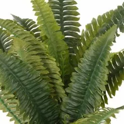 Best Sale 🎉 12 Pack: Green Boston Fern Bush by Ashland® 🥰 -Ashland Sale Store MP194924 2