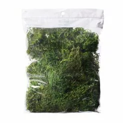 Cheap 👍 12 Pack: Preserved Forest Moss by Ashland® 😉
