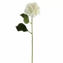 Best reviews of ❤️ 12 Pack: White Hydrangea Spray by Ashland® ✔️