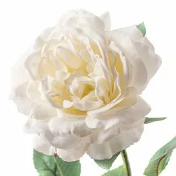 Top 10 ⌛ 12 Pack: White Sophia Rose Stem by Ashland® 🔔 -Ashland Sale Store MP213470 20