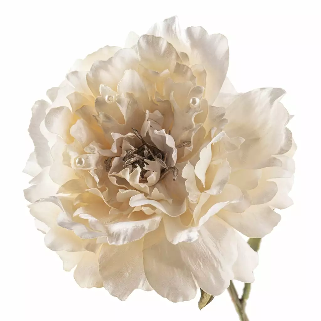 Cheap ⭐ 12 Pack: Cream Pearled Peony Stem by Ashland® 🥰 7 Cheap ⭐ 12 Pack: Cream Pearled Peony Stem by Ashland® 🥰 - Image 5