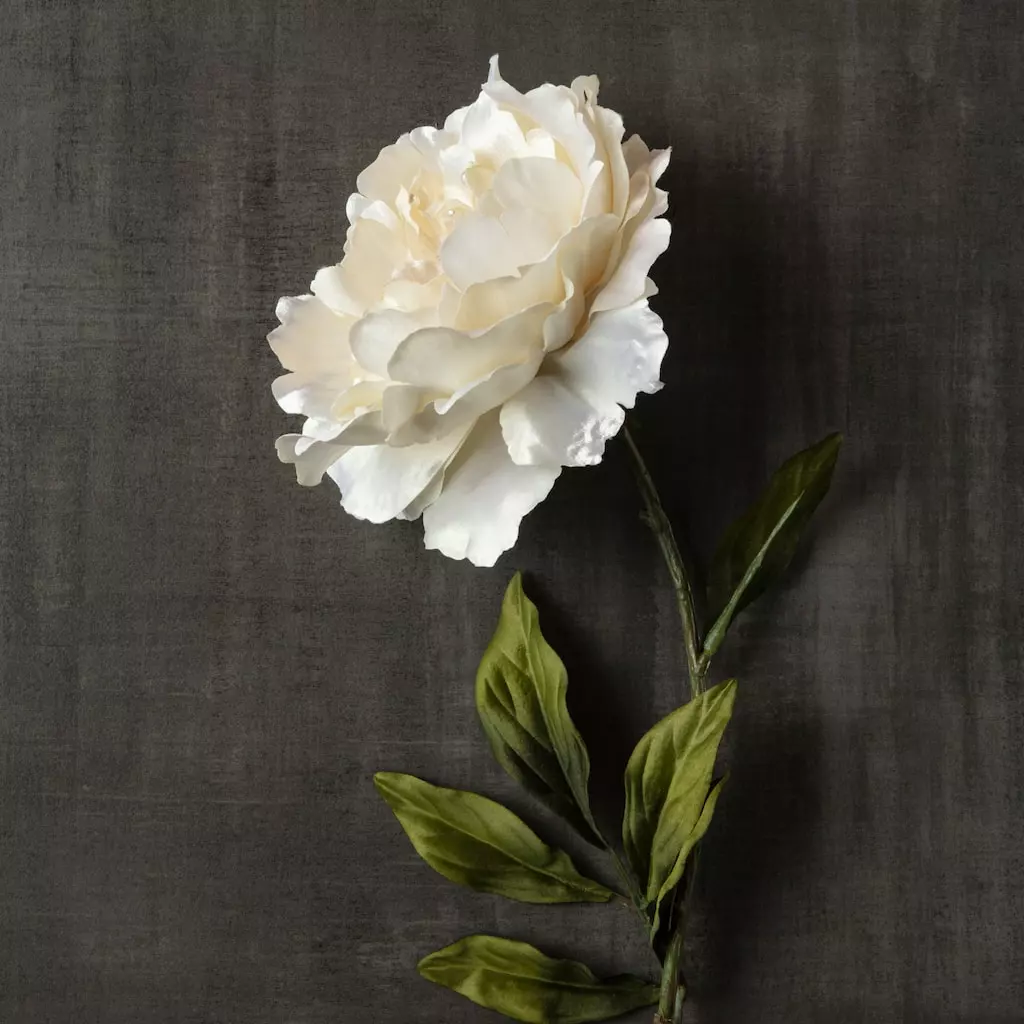 Cheap ⭐ 12 Pack: Cream Pearled Peony Stem by Ashland® 🥰 8 Cheap ⭐ 12 Pack: Cream Pearled Peony Stem by Ashland® 🥰 - Image 6