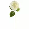 Outlet 💯 12 Pack: Classic Traditions™ White Hydrangea Stem by Ashland® ✨ 2 Outlet 💯 12 Pack: Classic Traditions™ White Hydrangea Stem by Ashland® ✨ -Ashland Sale Store MP213498 1