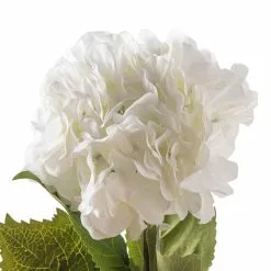 Outlet 💯 12 Pack: Classic Traditions™ White Hydrangea Stem by Ashland® ✨ 8 Outlet 💯 12 Pack: Classic Traditions™ White Hydrangea Stem by Ashland® ✨ -Ashland Sale Store MP213498 20