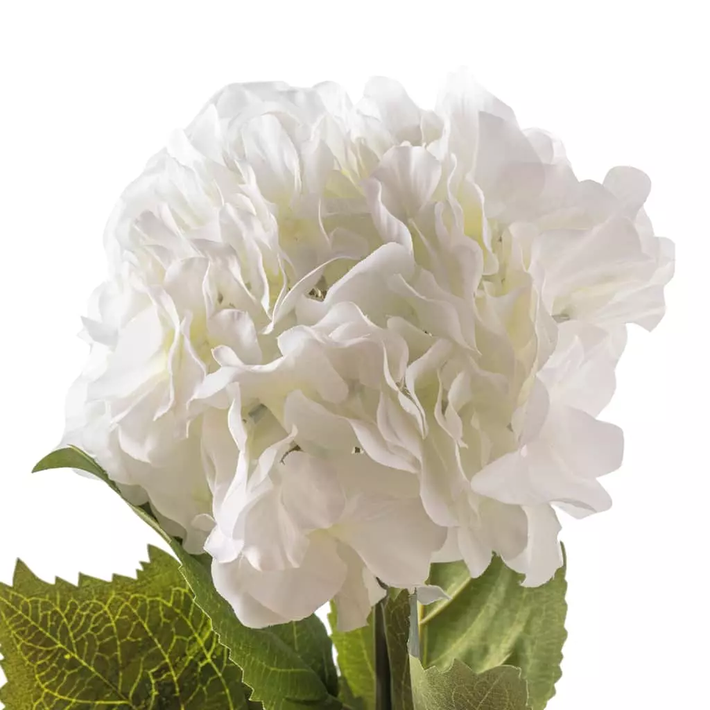 Outlet 💯 12 Pack: Classic Traditions™ White Hydrangea Stem by Ashland® ✨ 5 Outlet 💯 12 Pack: Classic Traditions™ White Hydrangea Stem by Ashland® ✨ - Image 3
