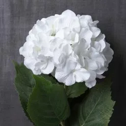 Outlet 💯 12 Pack: Classic Traditions™ White Hydrangea Stem by Ashland® ✨ 9 Outlet 💯 12 Pack: Classic Traditions™ White Hydrangea Stem by Ashland® ✨ -Ashland Sale Store MP213498 22