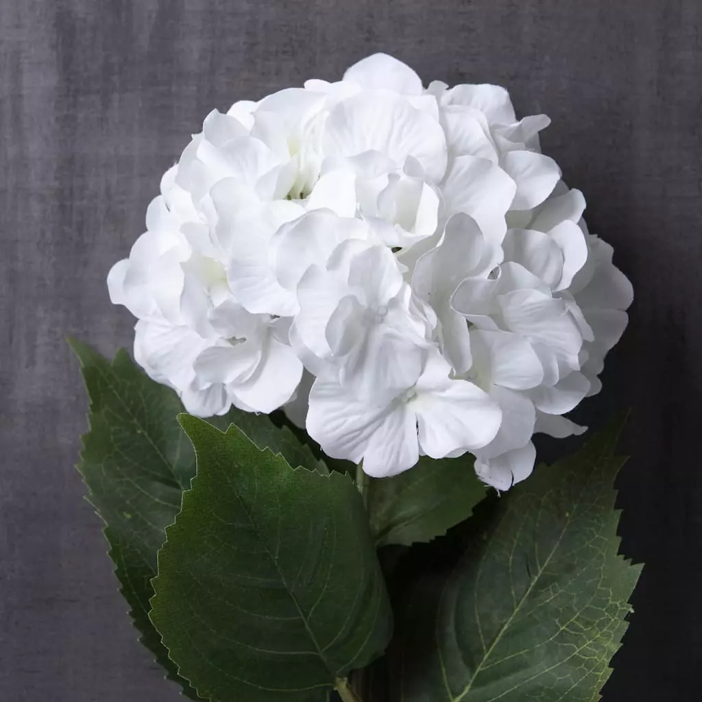 Outlet 💯 12 Pack: Classic Traditions™ White Hydrangea Stem by Ashland® ✨ 6 Outlet 💯 12 Pack: Classic Traditions™ White Hydrangea Stem by Ashland® ✨ - Image 4