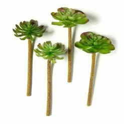 Budget ⌛ 12 Pack: Assorted Red Tipped Succulent Pick by Ashland® ⭐ -Ashland Sale Store MP229986 21