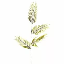 Best deal ⌛ 12 Pack: Green Tropical Areca Palm Stem by Ashland® 🎉