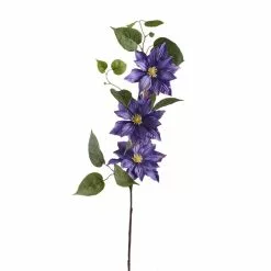 Cheapest 🤩 12 Pack: Purple Clematis Stem by Ashland® ✨