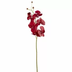 Best Pirce ✨ 6 Pack: Red Orchid Stem by Ashland® 🔥