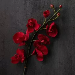 Best Pirce ✨ 6 Pack: Red Orchid Stem by Ashland® 🔥 -Ashland Sale Store MP230911 22