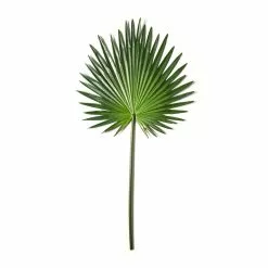 Flash Sale ✔️ 6 Pack: Green Fan Palm Stem by Ashland® ✔️ 8 Flash Sale ✔️ 6 Pack: Green Fan Palm Stem by Ashland® ✔️ -Ashland Sale Store MP230923 21