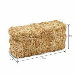 Deals ✔️ 12 Pack: 13" Decorative Straw Bale by Ashland® ⌛ -Ashland Sale Store MP234532 2
