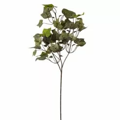 Cheap 🛒 24 Pack: Floral Essentials English Ivy Spray by Ashland® ⭐