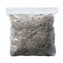 Best deal ⭐ 16 Pack: Natural Spanish Moss by Ashland® ✨
