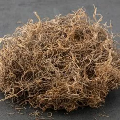 Best deal ⭐ 16 Pack: Natural Spanish Moss by Ashland® ✨ -Ashland Sale Store MP254250 21