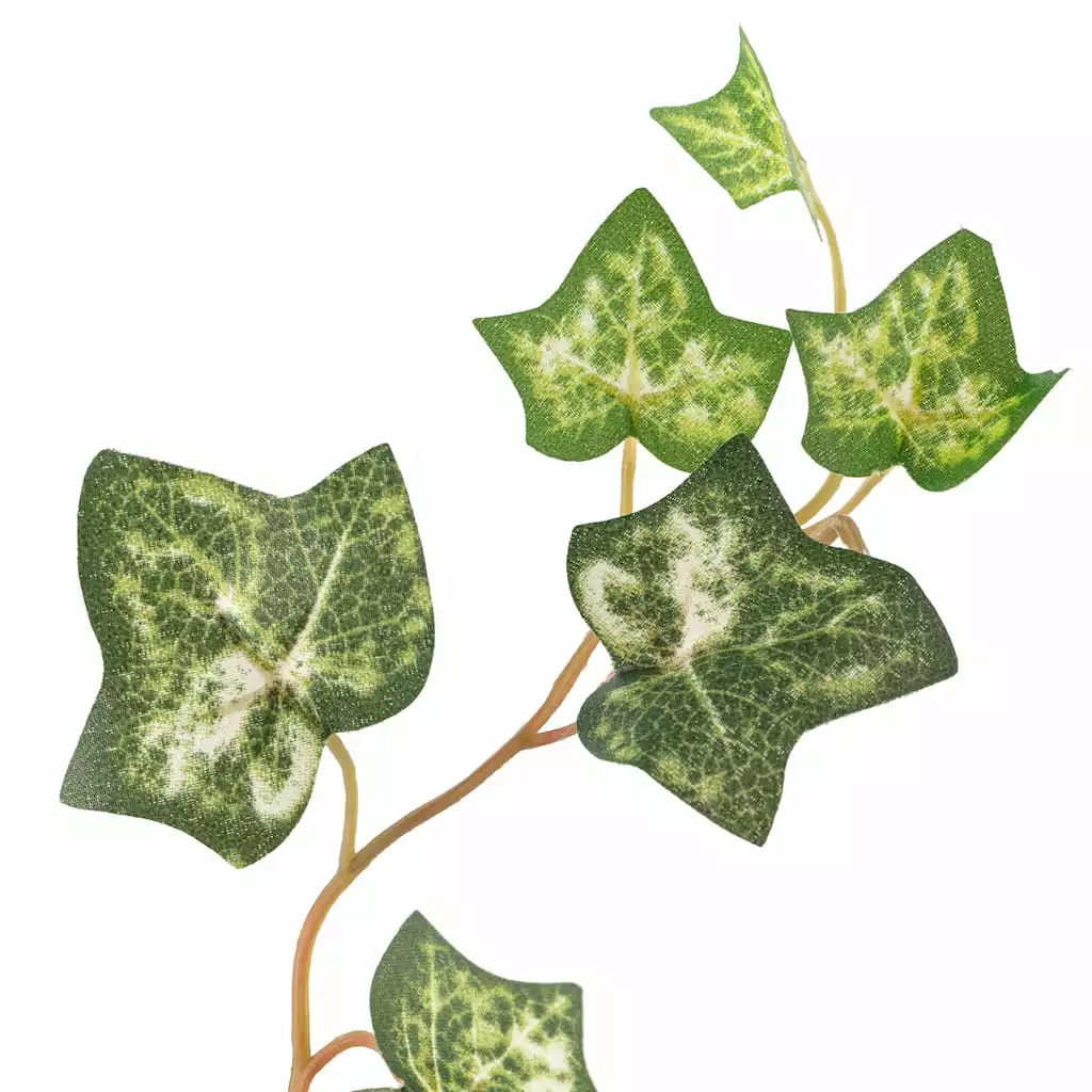 Discount 🛒 12 Pack: Green Silk Ivy Spray by Ashland® ⭐ 5 Discount 🛒 12 Pack: Green Silk Ivy Spray by Ashland® ⭐ - Image 3
