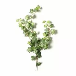 Discount 🛒 12 Pack: Green Silk Ivy Spray by Ashland® ⭐ 10 Discount 🛒 12 Pack: Green Silk Ivy Spray by Ashland® ⭐ -Ashland Sale Store MP262975 21