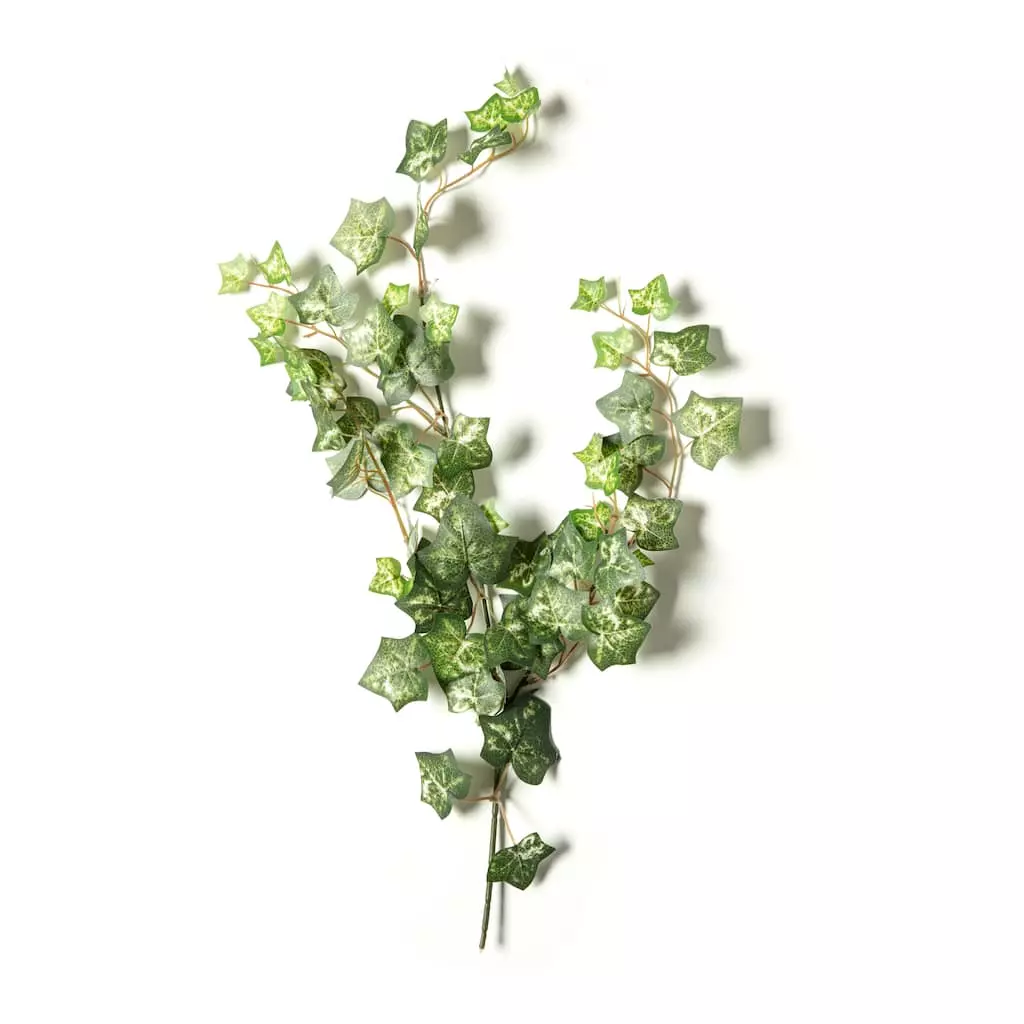 Discount 🛒 12 Pack: Green Silk Ivy Spray by Ashland® ⭐ 6 Discount 🛒 12 Pack: Green Silk Ivy Spray by Ashland® ⭐ - Image 4