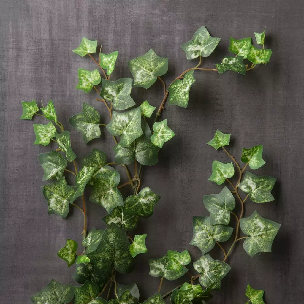 Discount 🛒 12 Pack: Green Silk Ivy Spray by Ashland® ⭐ 7 Discount 🛒 12 Pack: Green Silk Ivy Spray by Ashland® ⭐ - Image 5