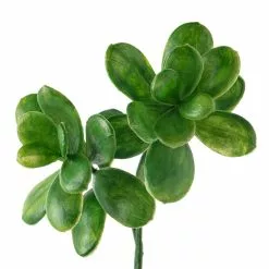Coupon ⌛ 12 Pack: Green Crassula Spray by Ashland® 🎉 -Ashland Sale Store MP262977 20