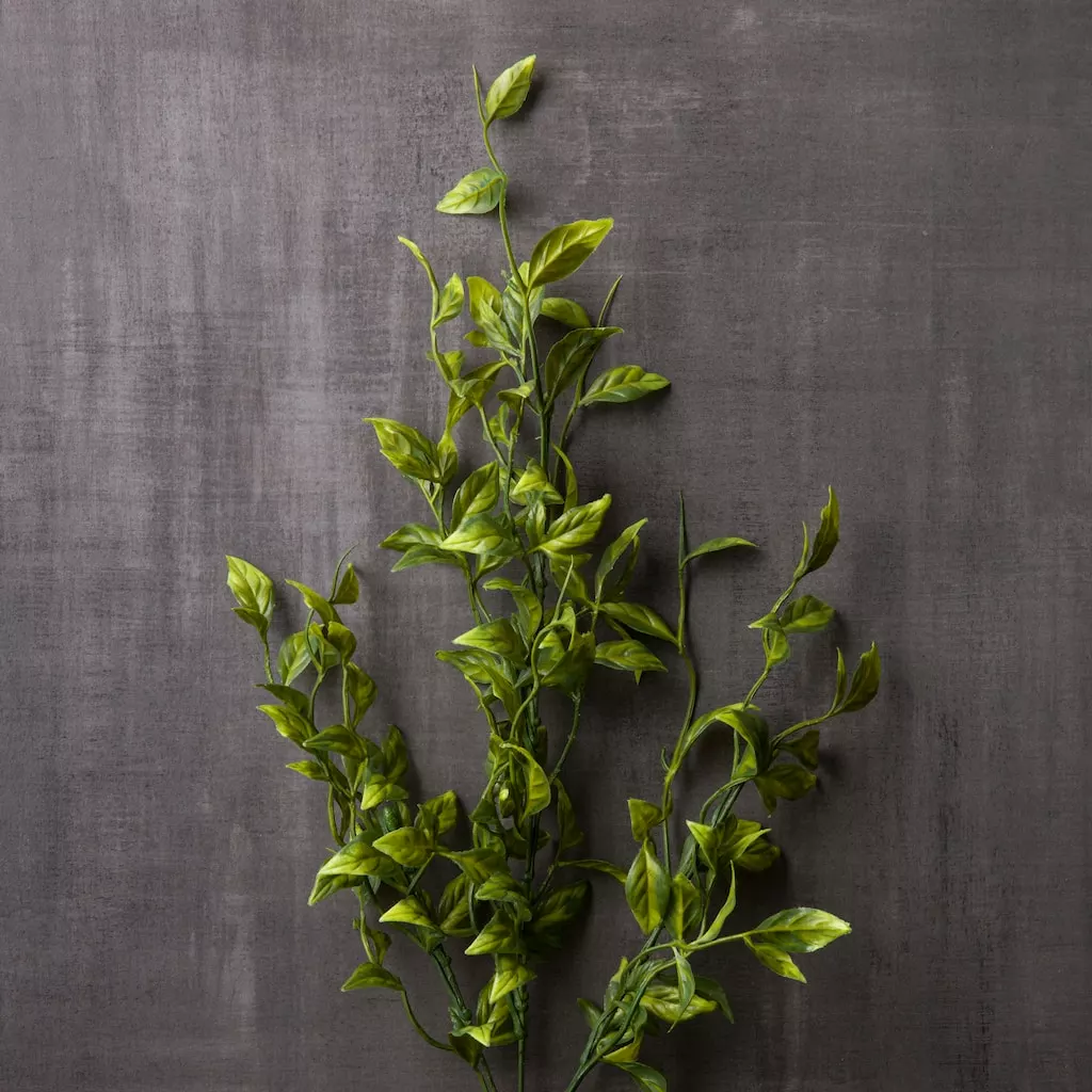 New ⌛ 12 Pack: Green Sinojackia Leaf Spray by Ashland® ✔️ 5 New ⌛ 12 Pack: Green Sinojackia Leaf Spray by Ashland® ✔️ - Image 3