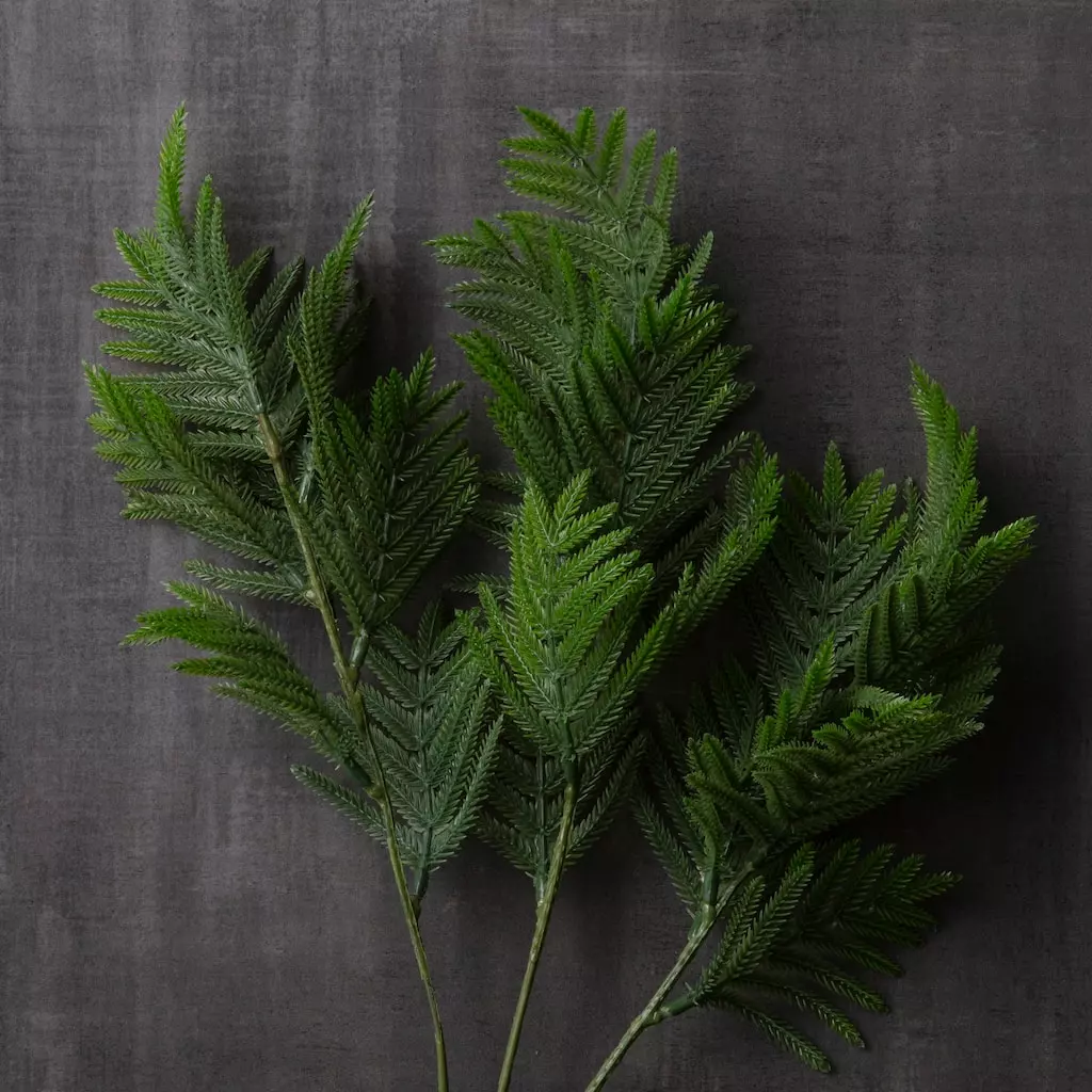 Top 10 ⭐ 12 Pack: Green Leather Fern Spray by Ashland® 🧨 4 Top 10 ⭐ 12 Pack: Green Leather Fern Spray by Ashland® 🧨 - Image 2
