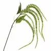 Brand new ⌛ 12 Pack: Green Amaranthus Stem by Ashland® 🛒 -Ashland Sale Store MP263015 1