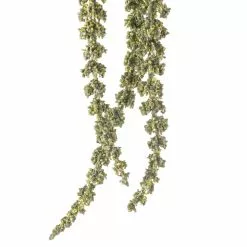 Brand new ⌛ 12 Pack: Green Amaranthus Stem by Ashland® 🛒 -Ashland Sale Store MP263015 20