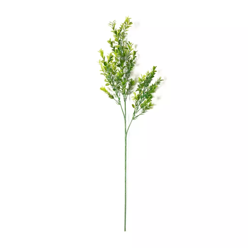 Best Sale ✨ 12 Pack: Sweet Grass Stem by Ashland® ✔️ 6 Best Sale ✨ 12 Pack: Sweet Grass Stem by Ashland® ✔️ - Image 4