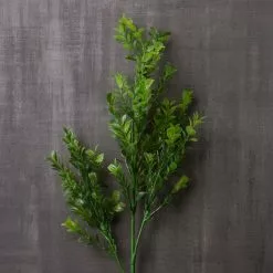 Best Sale ✨ 12 Pack: Sweet Grass Stem by Ashland® ✔️ 11 Best Sale ✨ 12 Pack: Sweet Grass Stem by Ashland® ✔️ -Ashland Sale Store MP263020 22