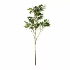 Best Sale 🎉 12 Pack: Green Osmanthus Stem by Ashland® 🤩 -Ashland Sale Store MP263723 21