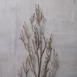 Discount 🔔 12 Pack: Brown Twig Stem by Ashland® 🔥 -Ashland Sale Store MP263724 22