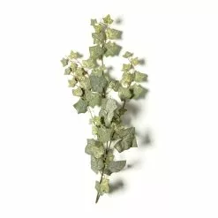 Cheap 😉 12 Pack: Green English Ivy Spray by Ashland® 💯 -Ashland Sale Store MP265880 21