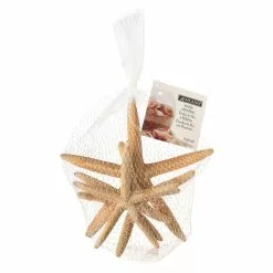 Best deal 🎁 6 Packs: 4 ct. (24 total) White Glitter Starfish by Ashland® 🛒 -Ashland Sale Store MP276723 30