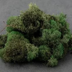 Wholesale 🤩 12 Pack: Basil Green Reindeer Moss by Ashland® 🔥 -Ashland Sale Store MP284152 21