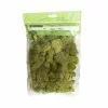 Cheap 💯 12 Pack: Spring Green Reindeer Moss by Ashland® ❤️ -Ashland Sale Store MP284153 1