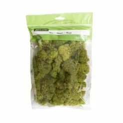 Cheap 💯 12 Pack: Spring Green Reindeer Moss by Ashland® ❤️