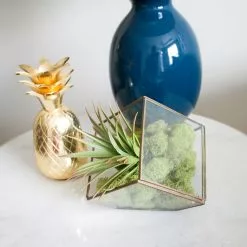 Cheap 💯 12 Pack: Spring Green Reindeer Moss by Ashland® ❤️ -Ashland Sale Store MP284153 4