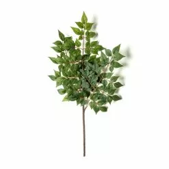 Coupon ❤️ 24 Pack: Green China Dollar Spray by Ashland® 👍 -Ashland Sale Store MP292511 21