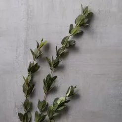 Hot Sale ⭐ 12 Pack: Green Huckleberry Leaf Spray by Ashland® ⭐ -Ashland Sale Store MP292555 22